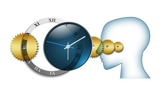 (视频数字化的两种方法)视频神器：探索数字化时代必备利器，改变你看视频的方式
