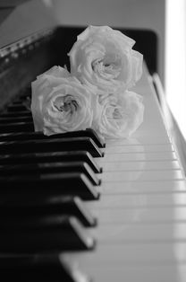 (电脑键盘钢琴曲谱大全流行曲谱)电脑键盘钢琴曲谱教程:玫瑰少年音乐创作与练习指南 (电脑键盘钢琴曲谱大全流行曲谱)电脑键盘钢琴曲谱教程:玫瑰少年音乐创作与练习指南