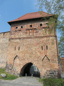 (洋葱骑士叫啥)羊葱骑士团：传说中的勇士组织，守护着和平与正义的守护者