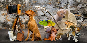 (黎明的救援)最新免费黎明救援修改器下载,限时特别版本更新大礼包! (黎明的救援)最新免费黎明救援修改器下载,限时特别版本更新大礼包!