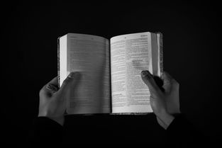 (王权争霸攻略)如何取消王权争霸中的职位？政治权力结构的重塑路径是什么？