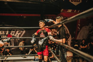 (无限三部曲百度百科)《无限三部曲》海量情报,你知道主角是谁吗? (无限三部曲百度百科)《无限三部曲》海量情报,你知道主角是谁吗?