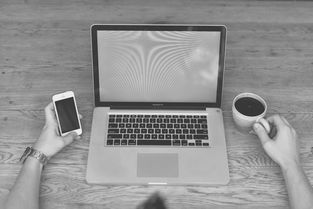 (奇迹娱乐手机app下载)奇迹娱乐旗下艺人：才华横溢，魅力无限，引领行业风向标