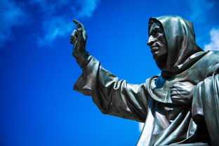 花与香水与猫:揭示这些生活元素为何在电商平台被下架的背后原因 花与香水与猫:揭示这些生活元素为何在电商平台被下架的背后原因