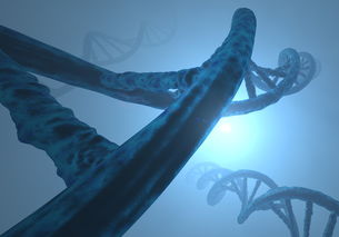 《进化》游戏:探索不同生物的进化之旅,挑战自己的极限和智慧。 《进化》游戏:探索不同生物的进化之旅,挑战自己的极限和智慧。