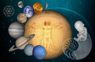 探讨未知的生命形态:专家解析创造我们星球生命如何通过独特方式获取能量与食物 探讨未知的生命形态:专家解析创造我们星球生命如何通过独特方式获取能量与食物