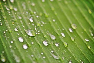 彩虹世界软件封了之后用啥？如何在没有彩虹世界软件的情况下找到替代品？