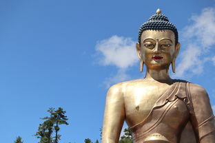 探秘·RY乐园:奇幻世界中的乐园之旅,探寻游乐设施背后的故事与秘密 探秘·RY乐园:奇幻世界中的乐园之旅,探寻游乐设施背后的故事与秘密