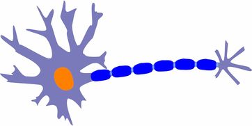 (细胞生物学相关的新技术)探索细胞奇点超越E27的前沿科技:未来生物学的新篇章 (细胞生物学相关的新技术)探索细胞奇点超越E27的前沿科技:未来生物学的新篇章