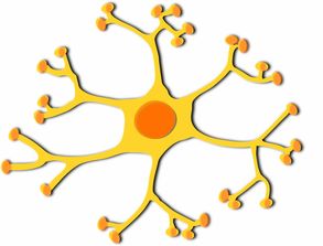 (细胞生物学相关的新技术)探索细胞奇点超越E27的前沿科技:未来生物学的新篇章 (细胞生物学相关的新技术)探索细胞奇点超越E27的前沿科技:未来生物学的新篇章