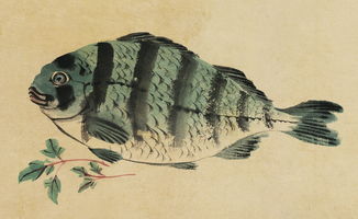 (我的江湖古鱼(gejianyunice)_...)我的江湖古鱼最新章节免费阅读精彩内容尽在眼前