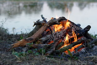 (次元大乱斗手游)探索大乱斗学园次元世界：超越想象的奇幻冒险之旅