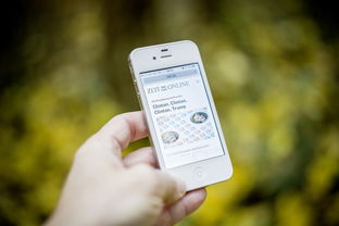 穿越禁区游戏: 探险挑战中突破丧尸围场,生存求生神秘禁区历险闯关启程 穿越禁区游戏: 探险挑战中突破丧尸围场,生存求生神秘禁区历险闯关启程