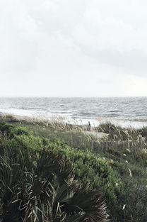 2024《风影手游》最强阵容大揭秘!打造无敌战队引领新一轮游戏风潮 2024《风影手游》最强阵容大揭秘!打造无敌战队引领新一轮游戏风潮