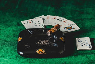 如何在废品大亨游戏中高效利用红色谷仓资源,成为顶级废品大亨的全攻略与实用技巧 如何在废品大亨游戏中高效利用红色谷仓资源,成为顶级废品大亨的全攻略与实用技巧