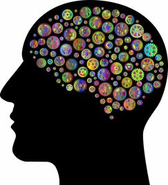 深度解析:幻觉的根源——到底是精神疾病还是心理疾病?从脑神经机理角度探究其实质性质 深度解析:幻觉的根源——到底是精神疾病还是心理疾病?从脑神经机理角度探究其实质性质