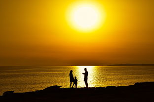 御龙争霸:八大神将齐聚,层层关卡等你挑战,玩家体验皇城角力战斗欲罢不能 御龙争霸:八大神将齐聚,层层关卡等你挑战,玩家体验皇城角力战斗欲罢不能