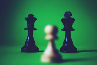 深度解析异尘达米拉wiki:一窥全面的角色设定、故事剧情和游戏策略 深度解析异尘达米拉wiki:一窥全面的角色设定、故事剧情和游戏策略
