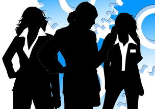 探索最新版兔了个兔红包游戏：更多创新玩法与福利等待玩家体验