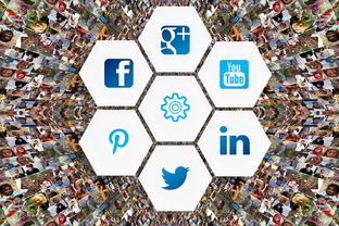 (球未来app)详解未来趭球手游下架原因：全面解析版权问题导致的经营困境