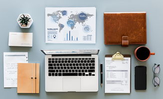 (龙葵怎么获得)深入龙葵幻境试炼,挑战最佳阵容搭配技巧 (龙葵怎么获得)深入龙葵幻境试炼,挑战最佳阵容搭配技巧