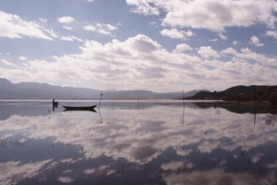 探索多元化游戏体验：哪个游戏盒子能满足您玩转乱斗乾坤手游的全新需求？