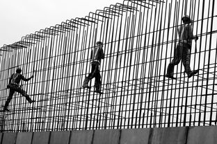 (氧化物的分类标准)氧化物的标准是什么？如何确定氧化物的性质和特征？