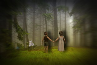 (迷失的森林路线)迷失的魔法森林在哪里?穿越幻想之境,探寻神秘世界的秘密 (迷失的森林路线)迷失的魔法森林在哪里?穿越幻想之境,探寻神秘世界的秘密