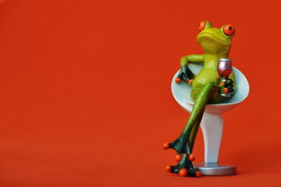 (碧雪情天之冰雪传奇宝石合成)探秘冰雪传奇:碧雪情天攻略大揭秘,让你成为冰雪王者! (碧雪情天之冰雪传奇宝石合成)探秘冰雪传奇:碧雪情天攻略大揭秘,让你成为冰雪王者!