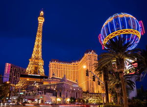 探寻星天乐园超人熊惊心动魄的详细剧情介绍 探寻星天乐园超人熊惊心动魄的详细剧情介绍