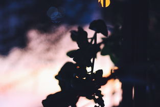 探索木头人:The Book of You等独特解谜游戏---让你体验不同于小小空城计的冒险之旅 探索木头人:The Book of You等独特解谜游戏---让你体验不同于小小空城计的冒险之旅