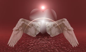 (天使之翼怎么穿)全新穿越时空之旅：探秘天使之翼的奥秘与魅力