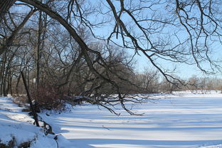 (立冬户外活动)立冬时节的户外游戏有哪些最适合的选择？