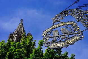 (方舟没广告)打造理想世界!方舟生存进化免广告,畅享纯净游戏体验 (方舟没广告)打造理想世界!方舟生存进化免广告,畅享纯净游戏体验