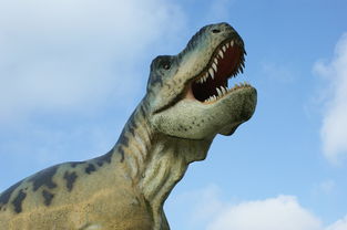 (智能修车厂)智能化修车故障诊断电脑的研发与应用现状探析