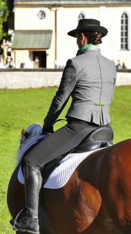 (马术骑士)新手入门:《马术世界》游戏中骑马与施法综合技巧完全攻略 (马术骑士)新手入门:《马术世界》游戏中骑马与施法综合技巧完全攻略