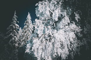 (冰雪封痕)超全攻略！封魔斩冰雪镇单机游戏最全攻略大全