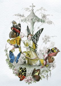 (灰姑娘跑酷游戏)灰姑娘跑酷:重现童话经典,用奔跑破茧成蝶,闯出自我新天地 (灰姑娘跑酷游戏)灰姑娘跑酷:重现童话经典,用奔跑破茧成蝶,闯出自我新天地