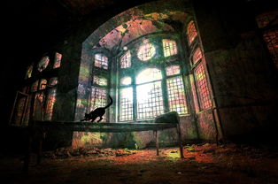 (亮剑之无限强化小说下载)亮剑之无限强化系统:揭秘秘藏在其中的无尽力量 (亮剑之无限强化小说下载)亮剑之无限强化系统:揭秘秘藏在其中的无尽力量