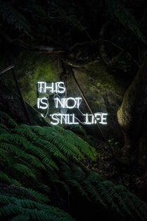 (探秘妖神记游戏的神秘世界,勇者的传奇之旅怎么过)探秘妖神记游戏的神秘世界,勇者的传奇之旅 (探秘妖神记游戏的神秘世界,勇者的传奇之旅怎么过)探秘妖神记游戏的神秘世界,勇者的传奇之旅