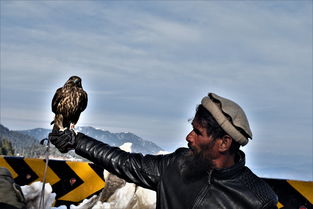 (方舟终极生存者版)探索终极幸存者之旅——方舟终极幸存者官网详解 (方舟终极生存者版)探索终极幸存者之旅——方舟终极幸存者官网详解