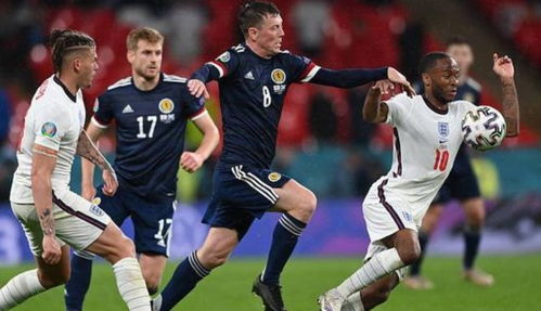 不要想躺平无广吿免费下载-不要想躺平单机版下载中文版v.7.11 不要想躺平无广吿免费下载-不要想躺平单机版下载中文版v.7.11