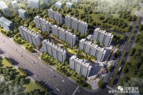 高智商大师无敌版-高智商大师手机版下载v.9.67