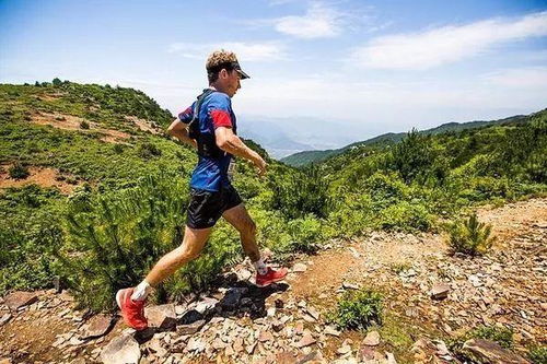 越野跑者中文版下载-越野跑者本官方下载安装v.9.85