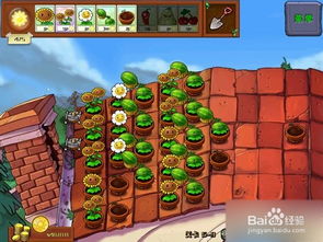 植物大战僵尸冒险时空免费版最新官方版下载-植物大战僵尸冒险时空免费版2024最新版本下载v.5.84