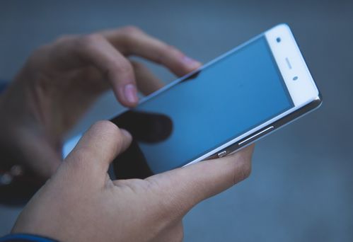 第八中学手机版2024下载-第八中学手机版下载安装v.1.17