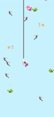 绝望的鸟手机版2下载-绝望的鸟手机版ios下载安装v.3.48