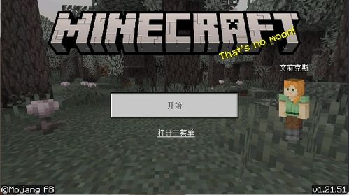 我的世界国际版1.210.1折下载-我的世界国际版1.21下载手机版v.4.67