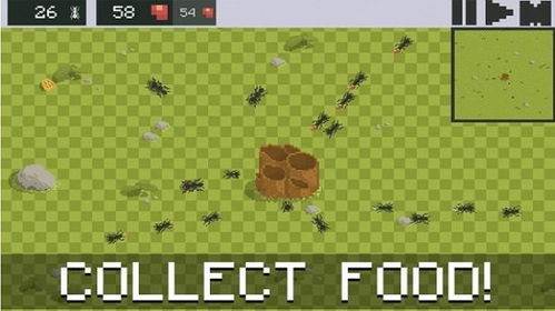 蚁群模拟器2汉化版手机版下载-蚁群模拟器2汉化版最新下载联机版2024无广告v.6.51