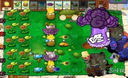 植物大战杂交版不减反增版下载-植物大战杂交版安卓下载v.6.96 植物大战杂交版不减反增版下载-植物大战杂交版安卓下载v.6.96
